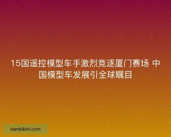 15国遥控模型车手激烈竞逐厦门赛场 中国模型车发展引全球瞩目