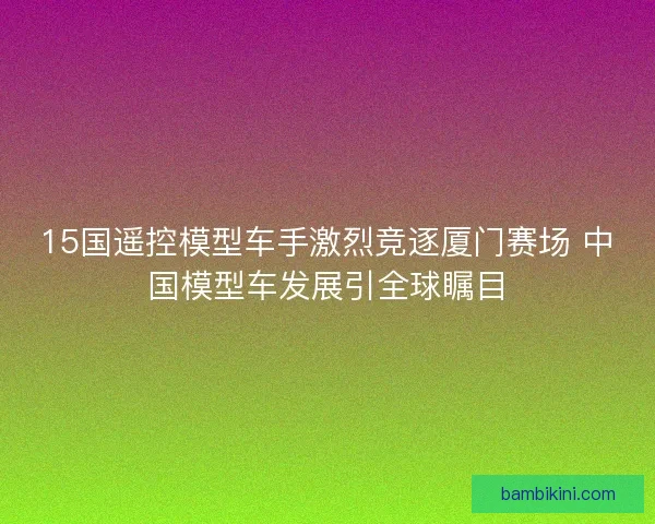 15国遥控模型车手激烈竞逐厦门赛场 中国模型车发展引全球瞩目 15国遥控模型车手激烈竞逐厦门赛场 中国模型车发展引全球瞩目