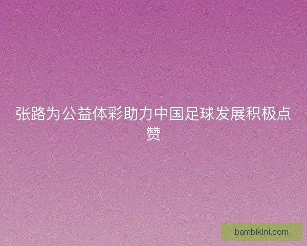 张路为公益体彩助力中国足球发展积极点赞 张路为公益体彩助力中国足球发展积极点赞