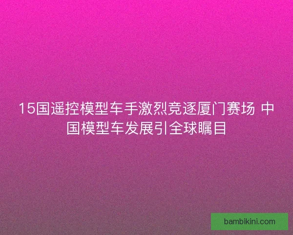15国遥控模型车手激烈竞逐厦门赛场 中国模型车发展引全球瞩目 15国遥控模型车手激烈竞逐厦门赛场 中国模型车发展引全球瞩目