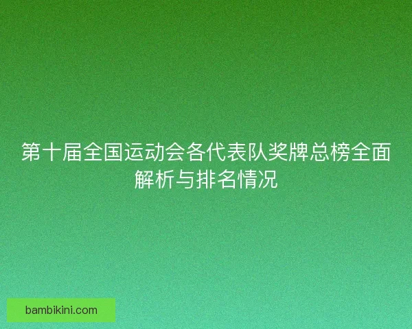 第十届全国运动会各代表队奖牌总榜全面解析与排名情况